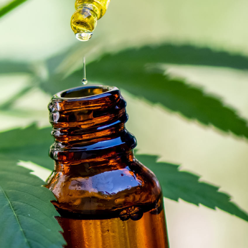 Cannabis médical et cbd : quelle différence ?
